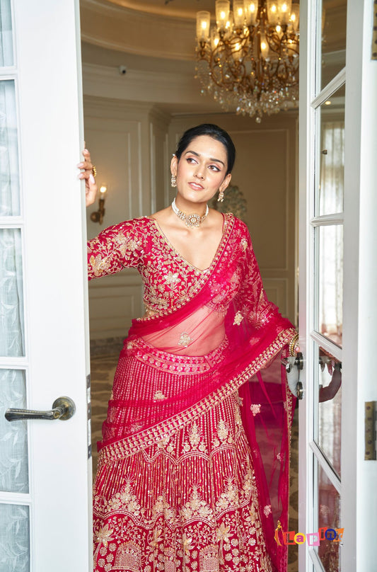 Rani Net Embroidered Full Sleeves Lehenga Set