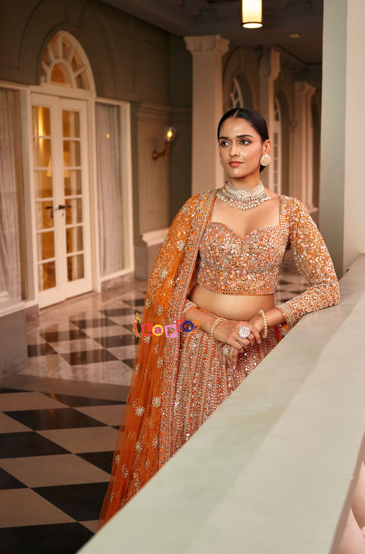 Embroidered Net Lehenga Set with Dupatta