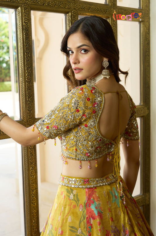 Embroidered Shimmar Printed Lehenga Set