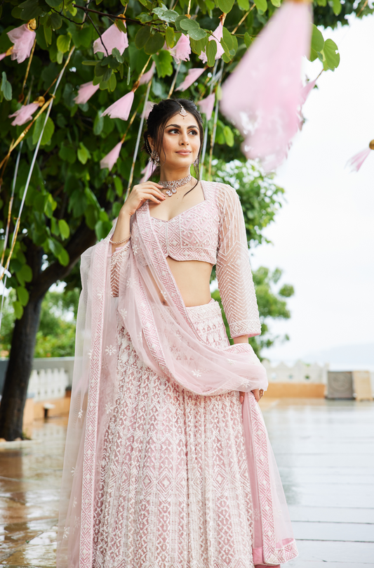 Blush Pink Embroidered Lehenga Set