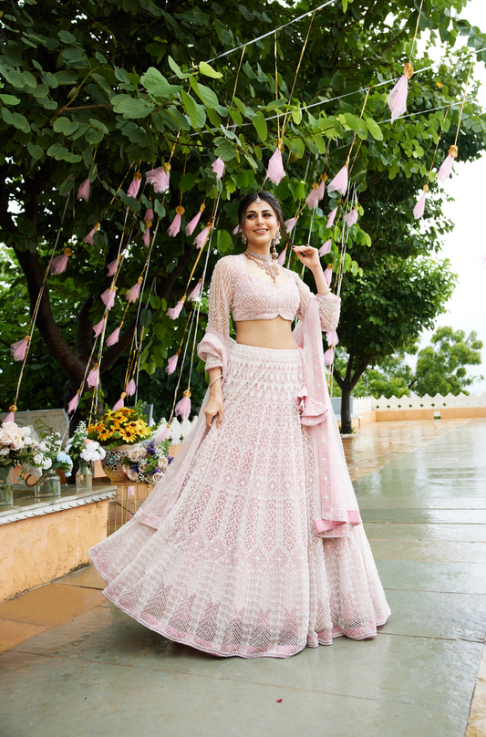 Blush Pink Embroidered Lehenga Set