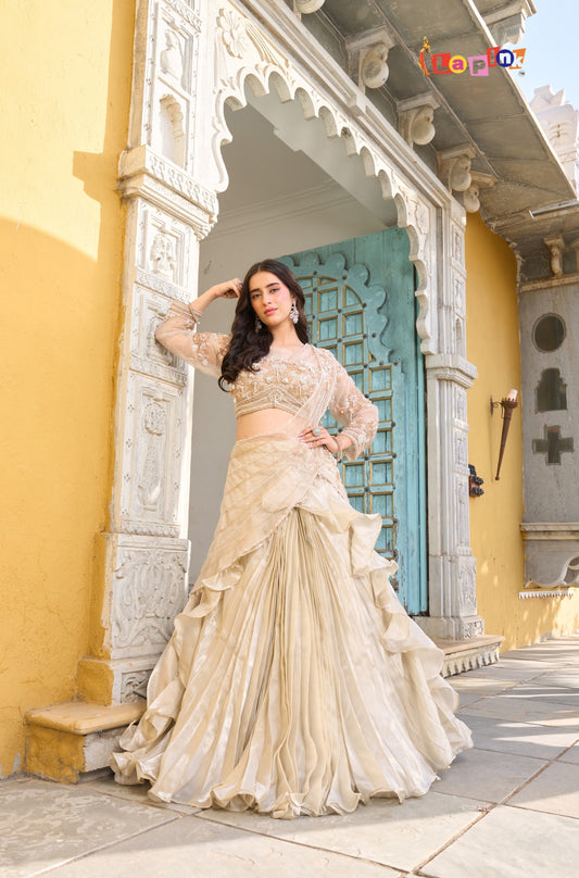 Full Sleeves Net Pre-Drape Saree with Moti & Stone Work