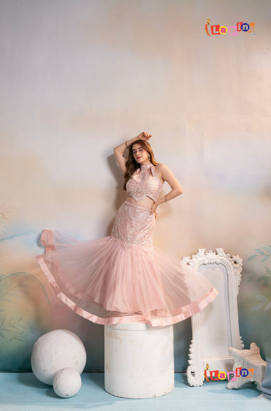 Embellished Net Fish-Cut Skirt Set